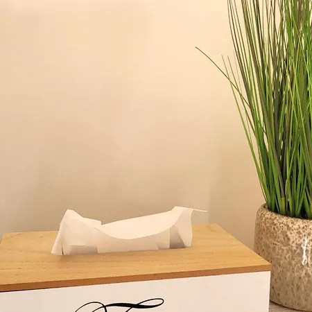 Bonair Gezellig In Hartje Lejlighed Wenduine