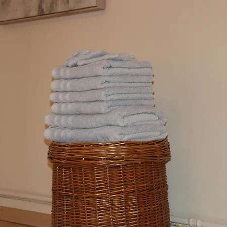 Bonair Gezellig In Hartje Wenduine