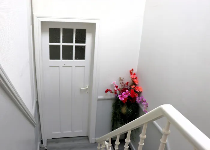 Bonair Gezellig In Hartje Appartement